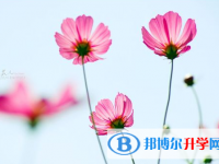 達(dá)州2022年中考在哪里查詢