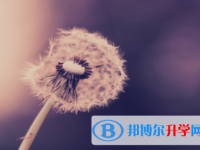 達(dá)州2022年中考怎么查詢