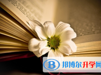 達(dá)州2022年中考招生考試查詢系統(tǒng)