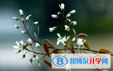達(dá)州2022年中考重點(diǎn)復(fù)習(xí)資料