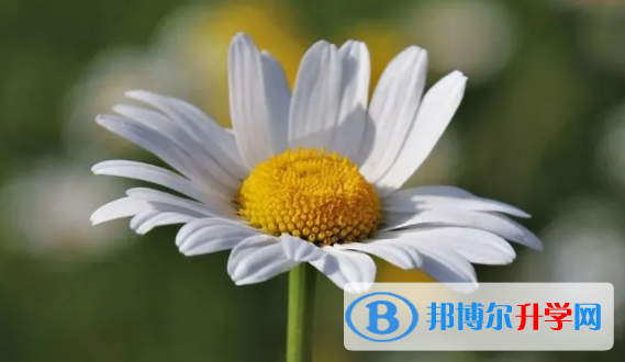 達州2022年中考重點復習