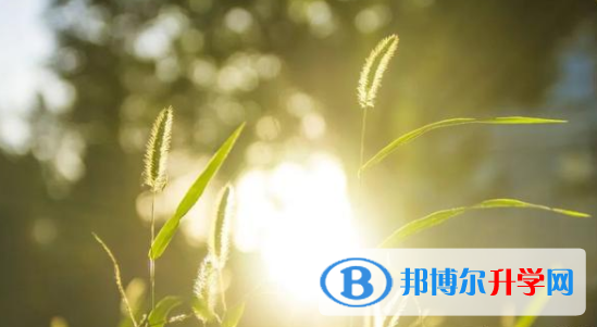 達州2022年孩子因病錯過中考怎么辦