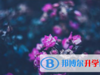 巴中2022年中考招生學校