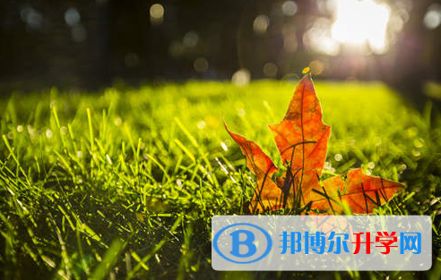 阿壩2022年中考成績(jī)查詢網(wǎng)址