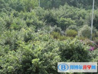 達州市新世紀學校怎么樣、好不好