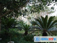 達州市新世紀學校2025年招生辦聯系電話