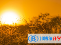 阿壩2022年中考特長(zhǎng)生招生簡(jiǎn)章