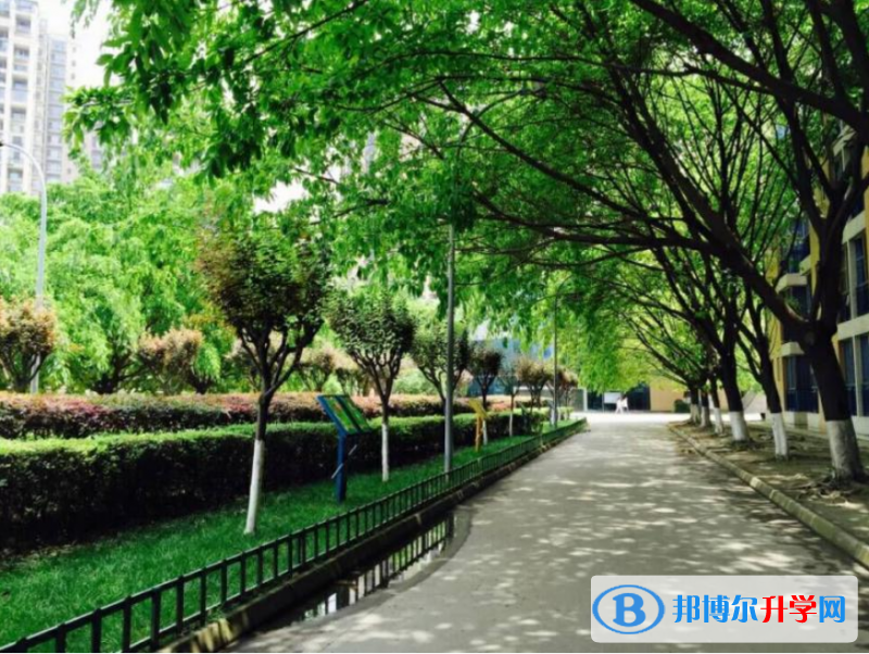 成都七中實驗學校(初中部)2022年排名