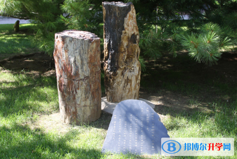 北京師范大學(xué)二附中2023年排名