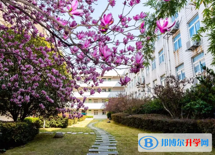 南京第二十九中學(xué)2023年排名 