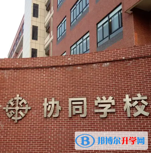 佛山協同國際學校2023年學費標準