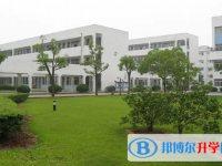 東莞市中考2022分數線（東莞市中考）