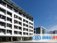 溫州市第八高級中學2025年招生簡章