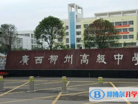 2025廣西高中最新排名
