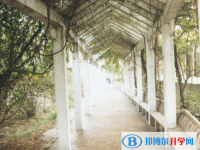 安徽銅陵第三中學怎么樣、好不好