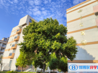 安徽渦陽第一中學2025年招生辦聯系電話