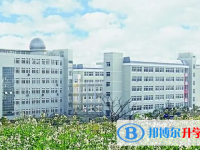 2025平?jīng)鍪兄锌颊Z(yǔ)文滿分是多少？