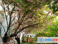 安徽屯溪第二中學網站網址主頁
