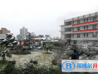溫州市任巖松中學(xué)2025年招生簡章