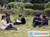 安徽蚌埠第三中學網(wǎng)站網(wǎng)址主頁