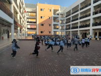 2022田東縣濱江學(xué)校錄取分數(shù)線(2023參考)