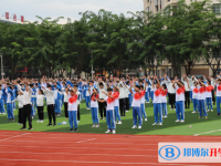 三亞市田家炳高級中學(xué)歷年招生分?jǐn)?shù)線一覽表(2025參考)