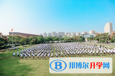 2023年寧波至誠學(xué)校招生政策