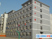 鳳臺古城中學錄取分數線(2023年參考)