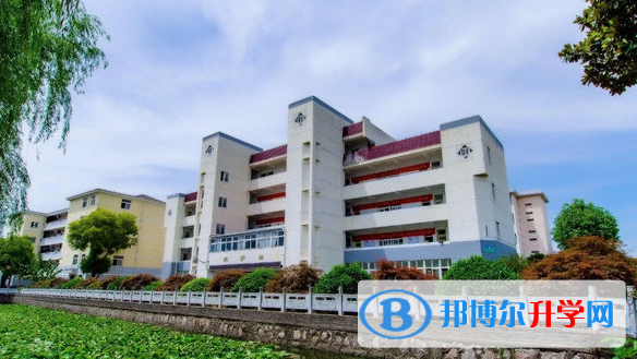 蕪湖市泰文中學、安師大第二附屬中學錄取分數線(2023年參考)