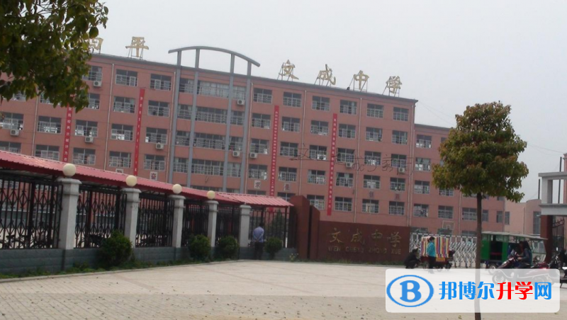 西平中招錄取分數線(2023年參考)