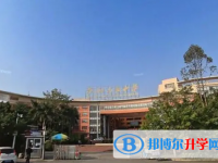 深圳市龍城高級中學歷年招生分數線一覽表(2025參考)