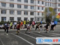 七臺河市第二中學(xué)地址，乘車路線