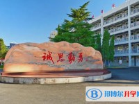 2025武安市第十中學多少錢(學費明細)
