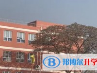 成安縣第三中學(xué)招生簡(jiǎn)章2025年