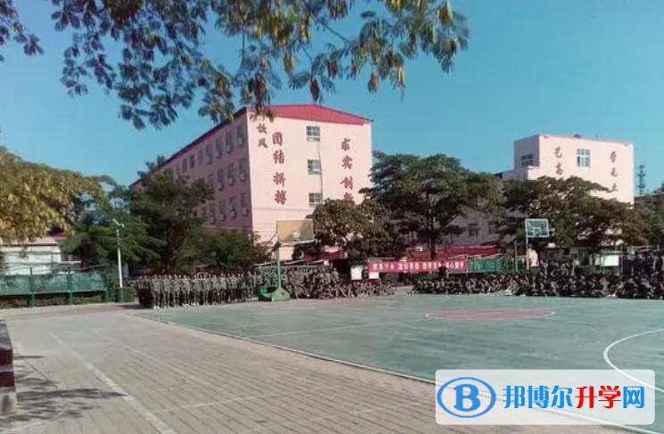 2024魏縣第五中學(xué)招生計劃 招生人數(shù)是多少(附要求、條件、對象)