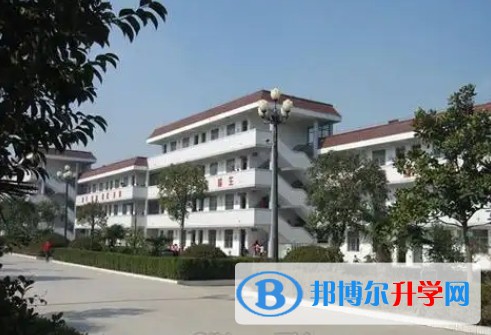 2025青白江區(qū)為明學(xué)校招生計劃 招生人數(shù)是多少(附要求、條件、對象)