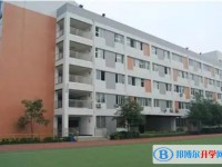 2025石橋中學(xué)招生計(jì)劃 招生人數(shù)是多少(附要求、條件、對象)