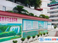 三星中學(xué)怎么樣、好不好