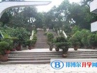四川省富順縣永年中學(xué)校招生簡章2025年