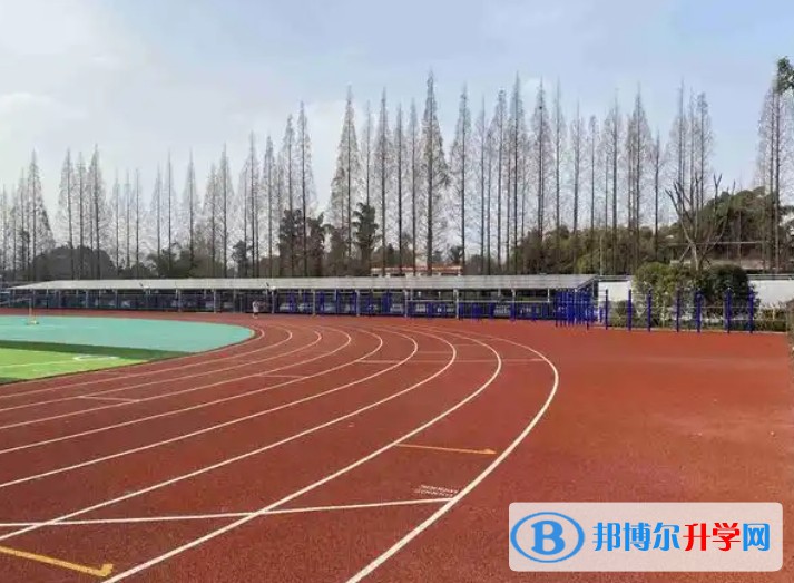 2025自貢德銘中學招生計劃 招生人數是多少(附要求、條件、對象)