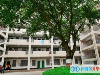 四川省綿陽普明中學怎么樣、好不好