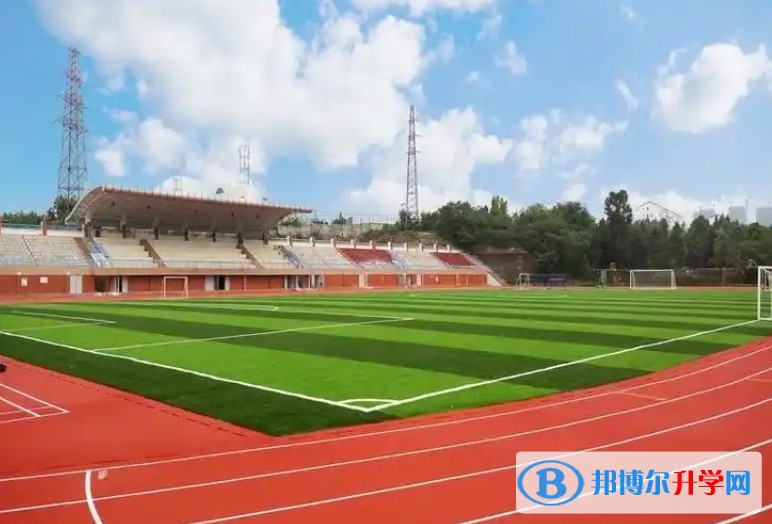 四川省綿陽市豐谷中學招生簡章2025年