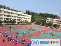 四川省綿陽市豐谷中學怎么樣、好不好
