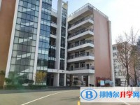 2025綿陽一中招生計劃 招生人數(shù)是多少(附要求、條件、對象)