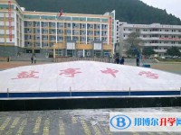 鹽亭中學招生簡章2025年