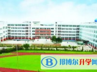 2025太白中學招生計劃 招生人數(shù)是多少(附要求、條件、對象)