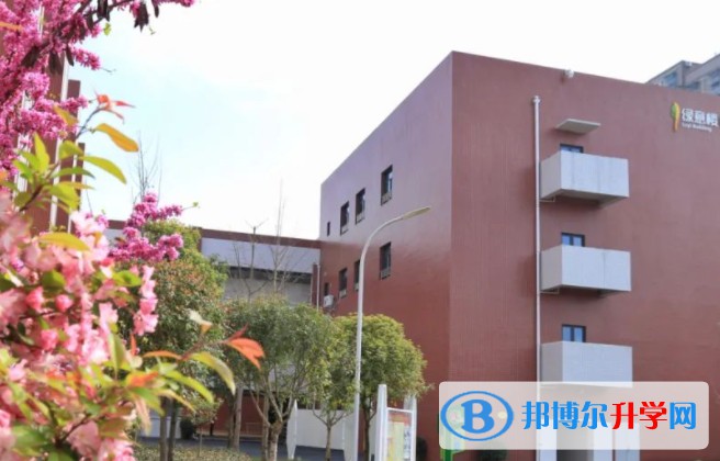 2025綿陽(yáng)市豐谷中學(xué)招生計(jì)劃 招生人數(shù)是多少(附要求、條件、對(duì)象)