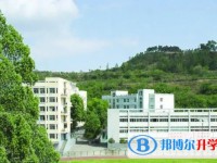 2025廣元市田家炳實驗中學招生計劃 招生人數是多少(附要求、條件、對象)