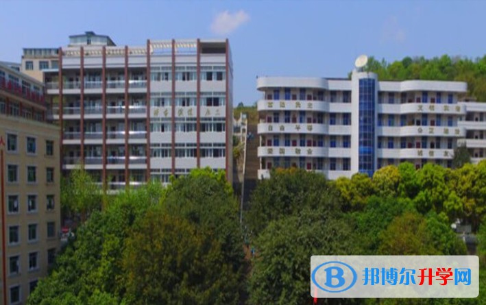 2025蒼溪實驗中學(xué)多少錢(學(xué)費明細(xì))