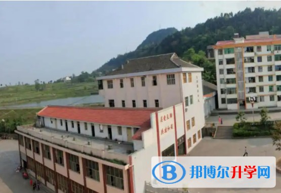 2025四川省蒼溪縣文昌中學招生計劃 招生人數是多少(附要求、條件、對象)